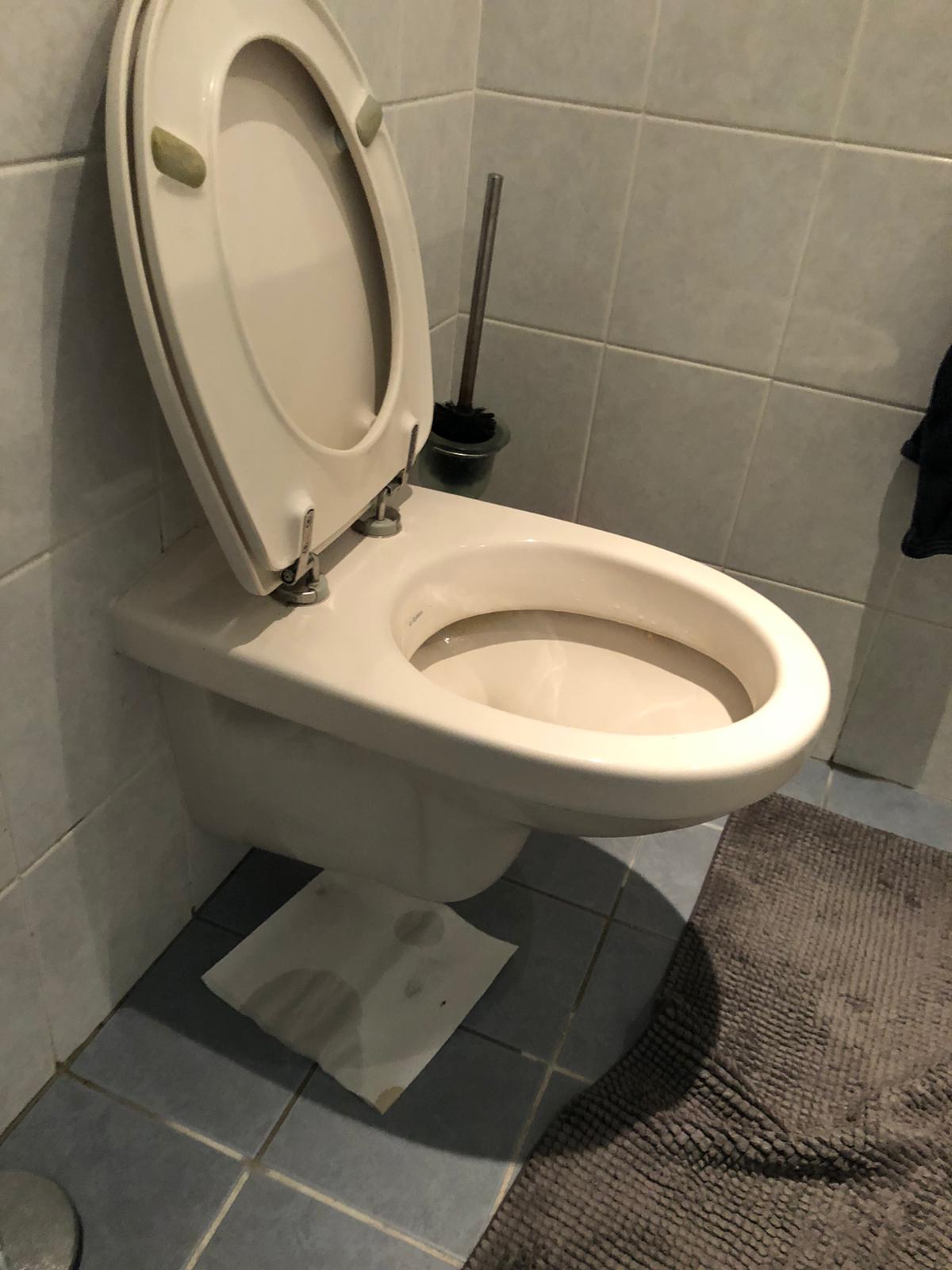 hangtoilet Wormerveer